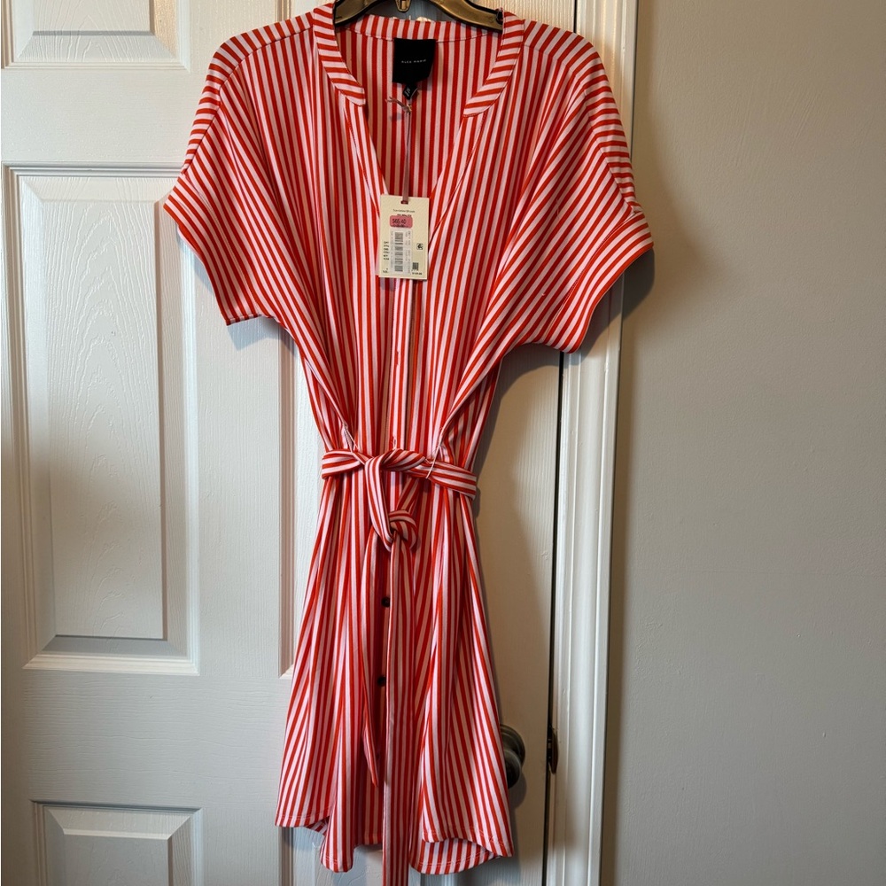 Alex Marie Red and White Striped Midi Dress